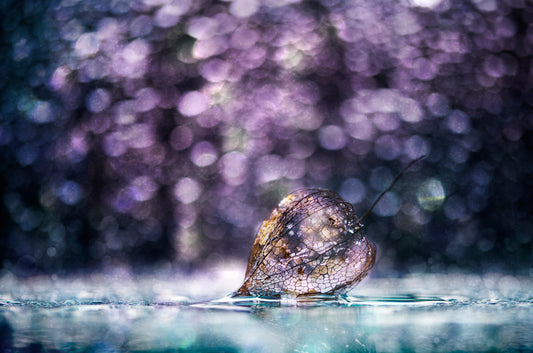 ...with a magic light... fototapet