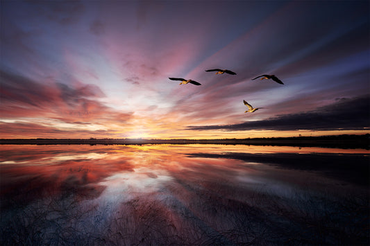 Morning mood.. fototapet