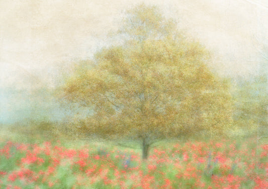 A Dream of Summer fototapet