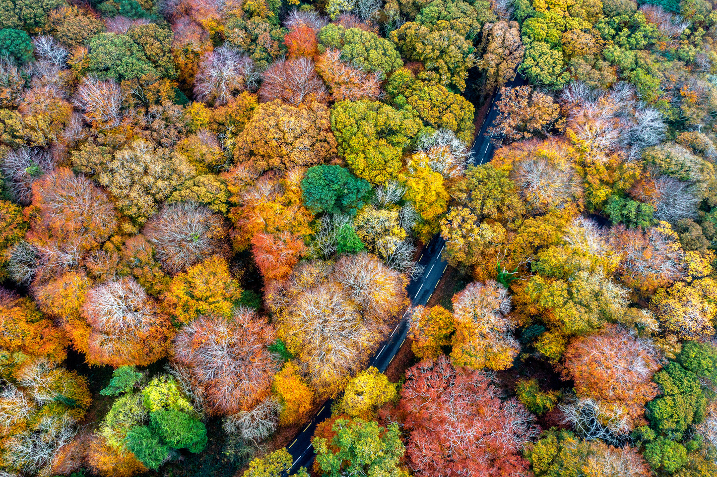 Autumn firework 2 fototapet