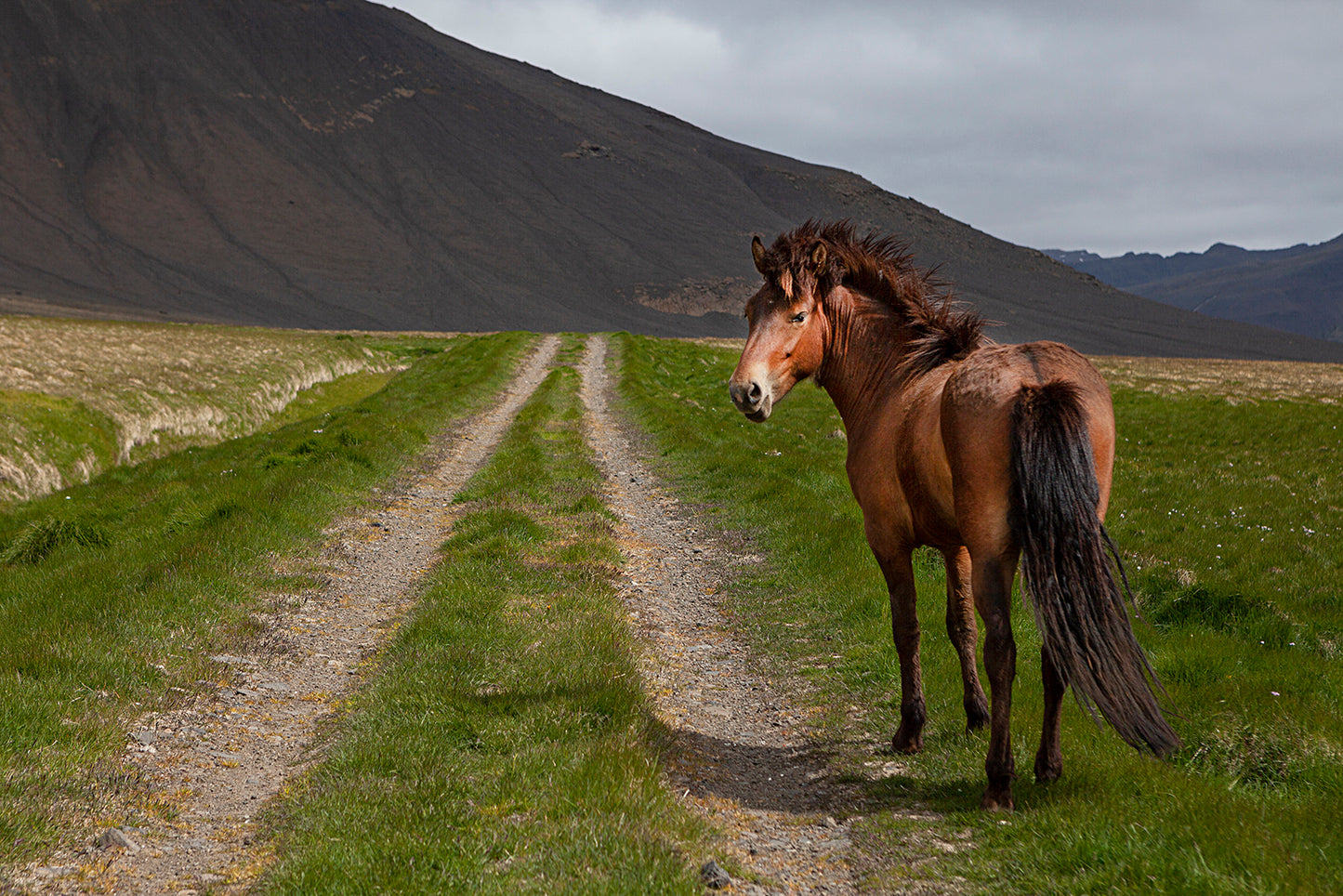 You can Pass By fototapet