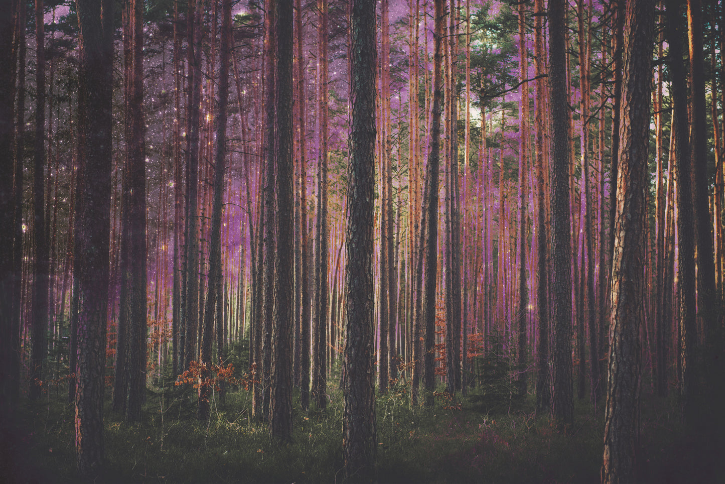 0014 Manipulation fototapet