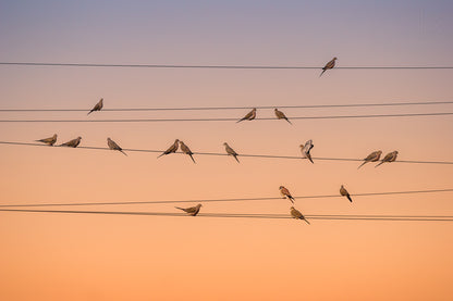 Music of Light fototapet