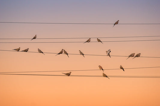 Music of Light fototapet