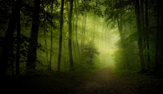 spring secret fototapet