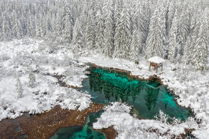 Winter fairytale. fototapet