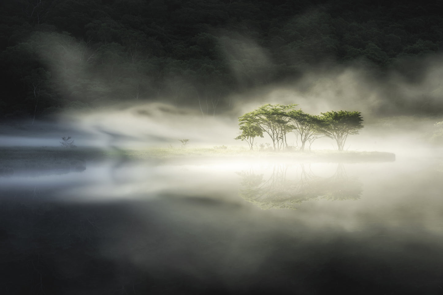 Yin and yang fototapet