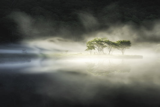 Yin and yang fototapet