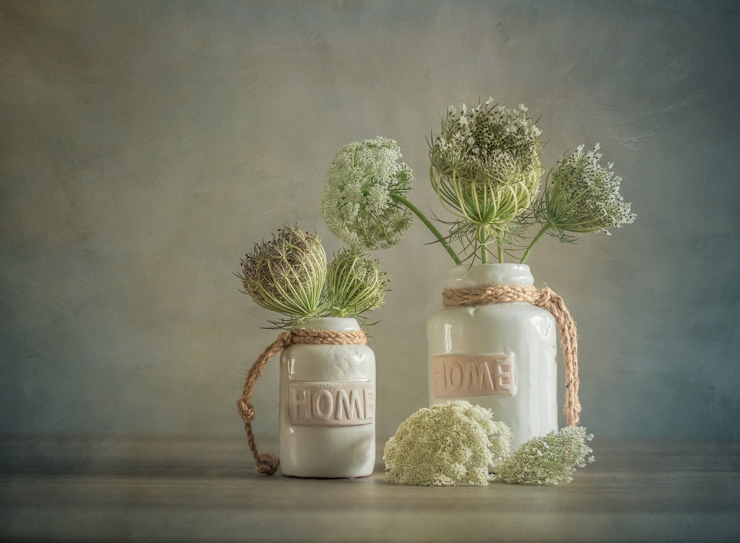 Wild Carrot fototapet