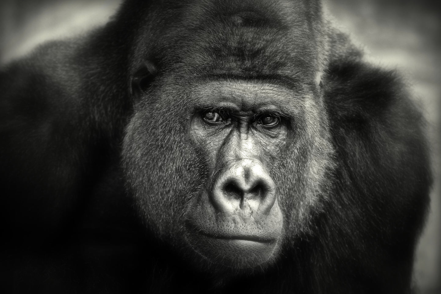 LITTLE SMILE .... fototapet