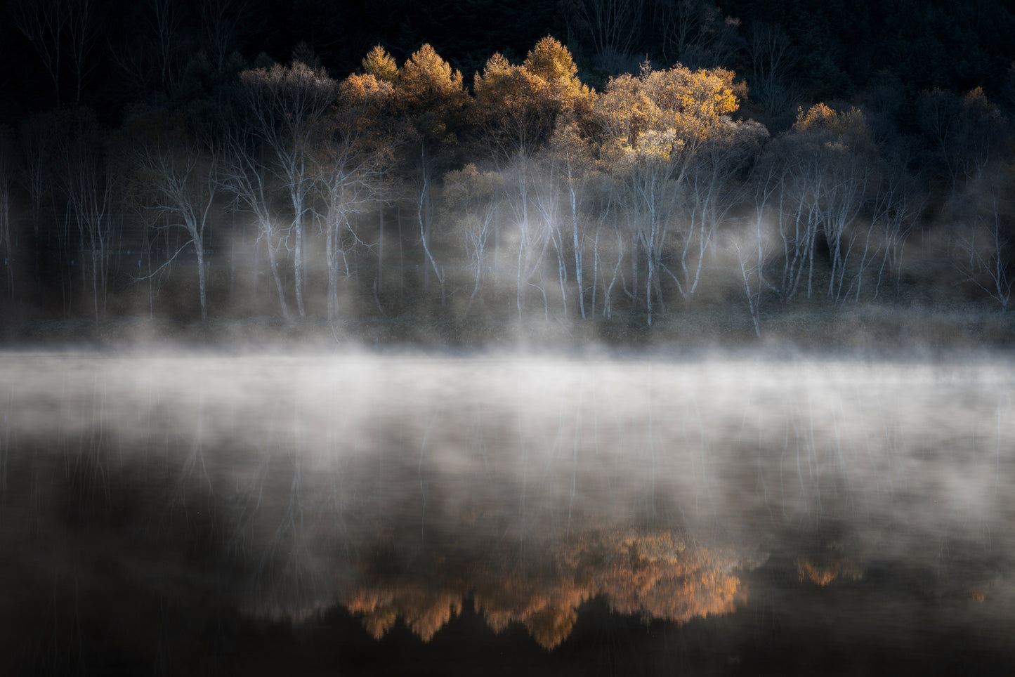 晩秋の光に誘われて fototapet