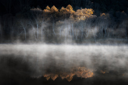 晩秋の光に誘われて fototapet