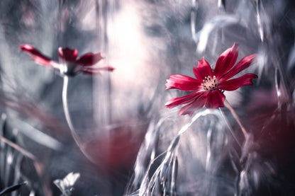 Seduction games fototapet