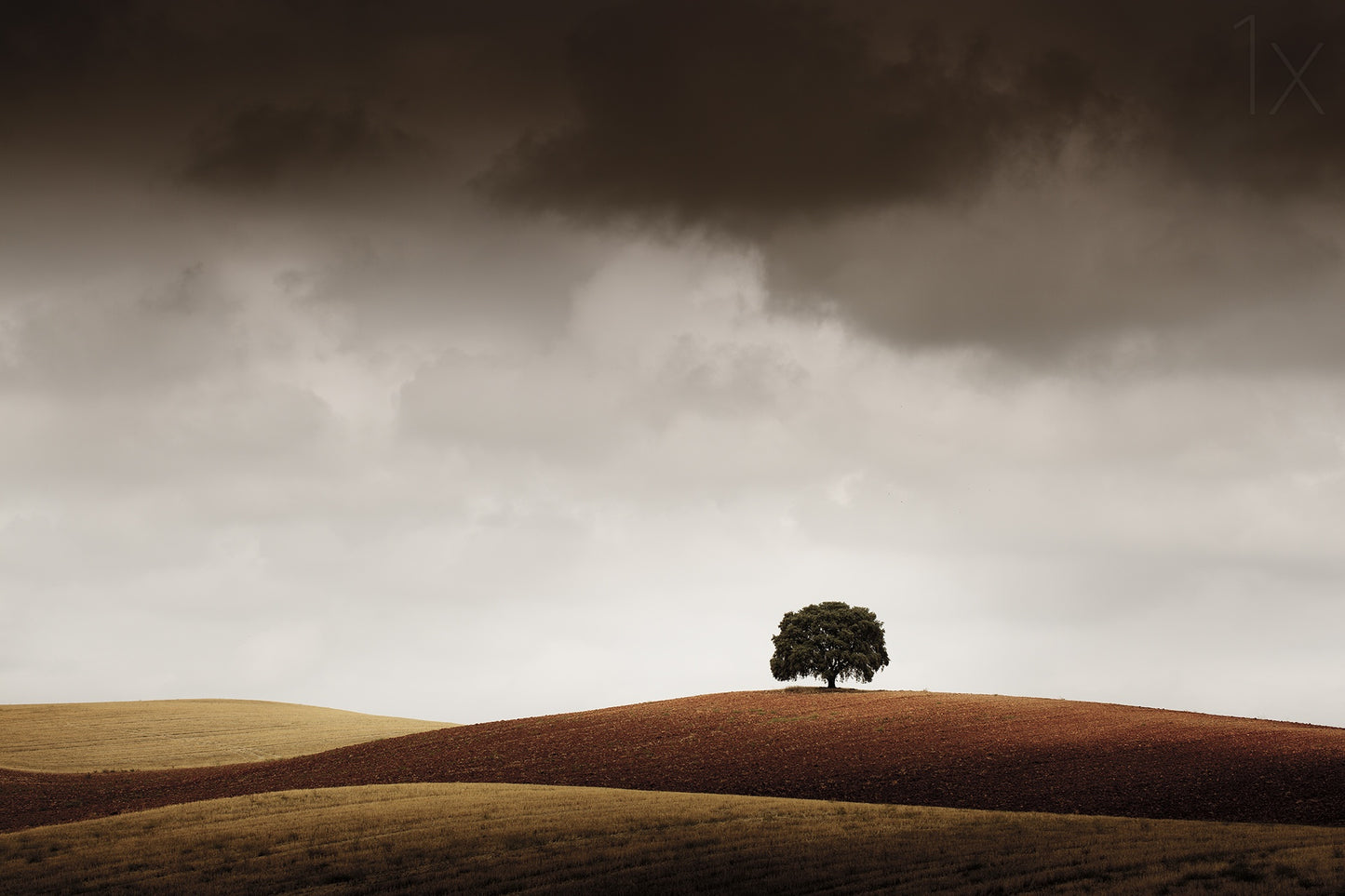 Tuve Que Pararme al Verla fototapet