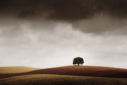 Tuve Que Pararme al Verla fototapet