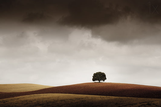 Tuve Que Pararme al Verla fototapet