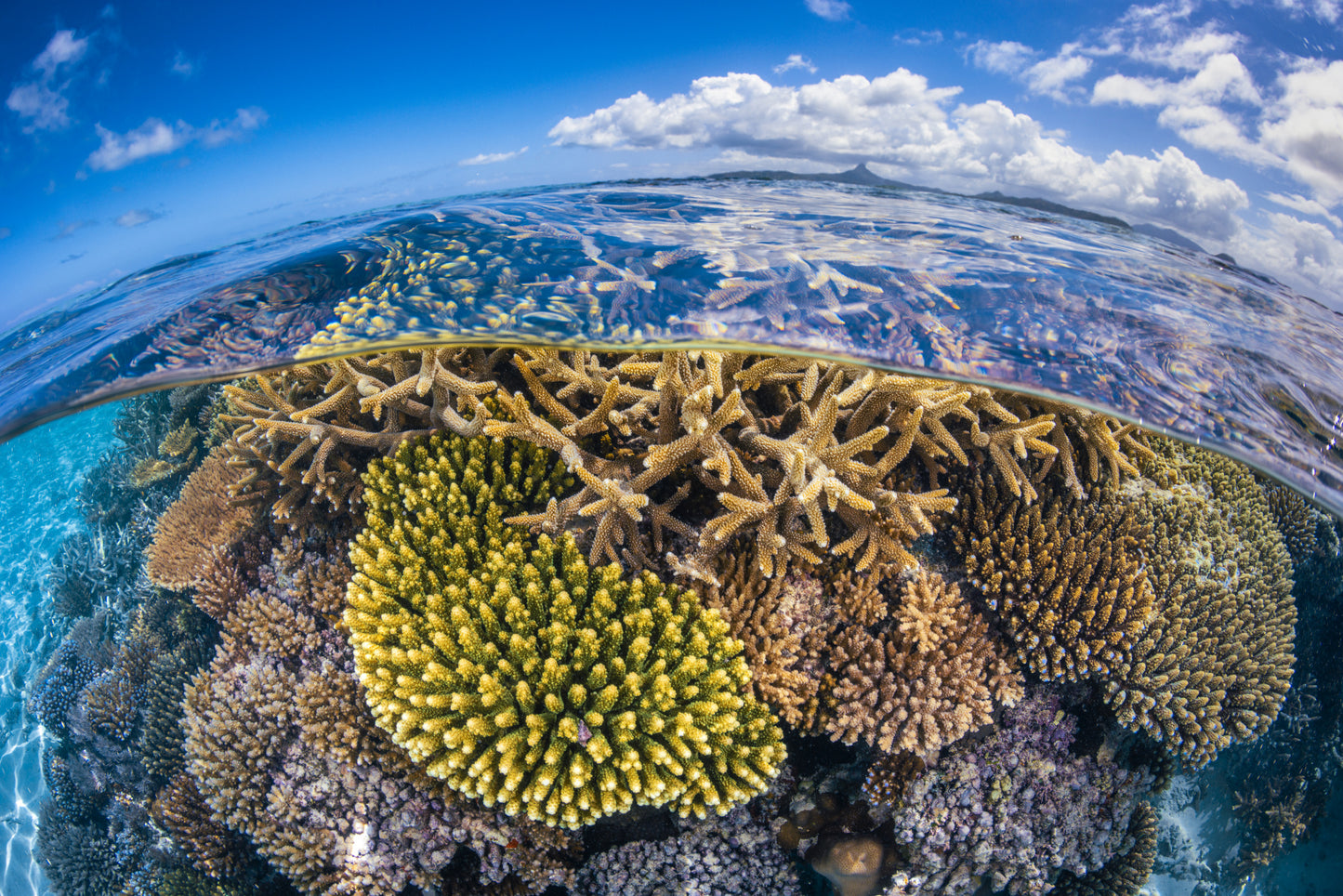 At low tide fototapet