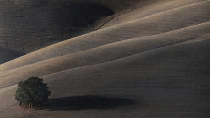 Soon my shadow will dissolve fototapet