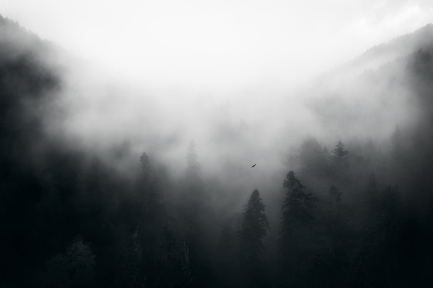 A day in the Pacific Northwest fototapet