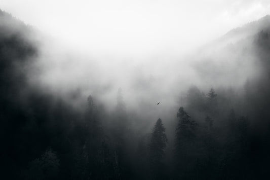 A day in the Pacific Northwest fototapet