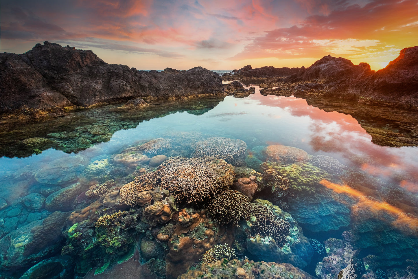 Where is Nemo ? fototapet