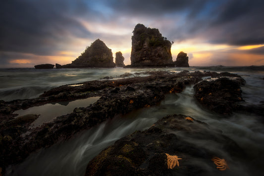 West Coast fototapet