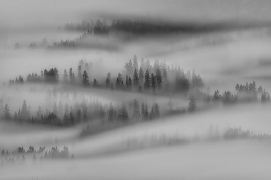 Autumn Impresions fototapet