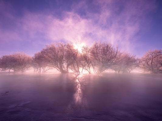 初升的阳光 fototapet