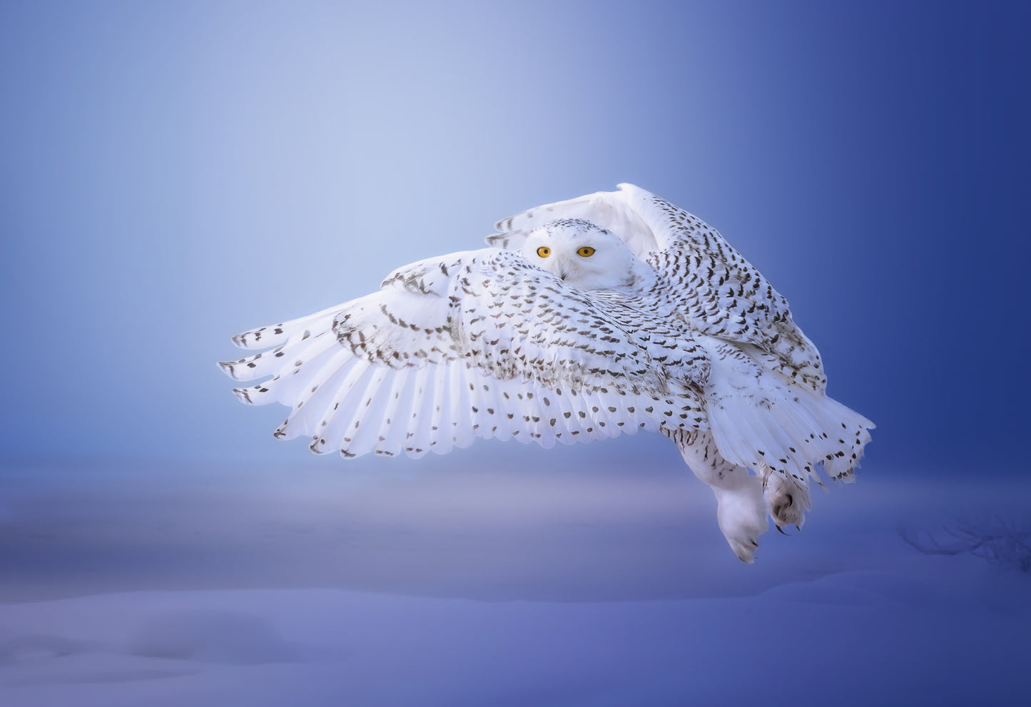 "See You Later...." fototapet