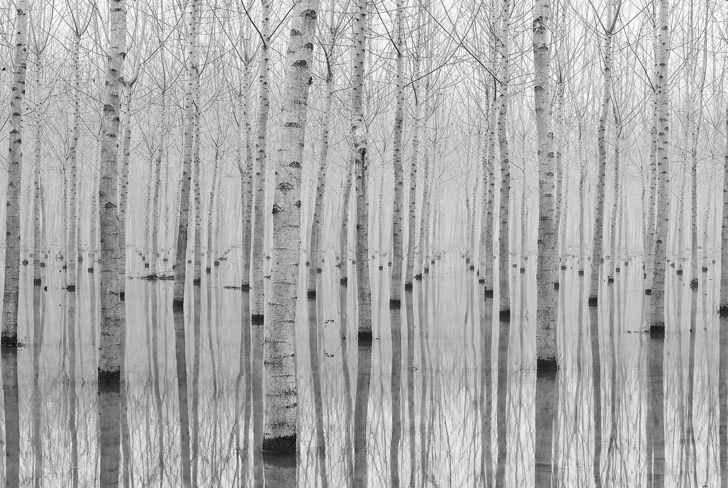 Novembre 2014 fototapet