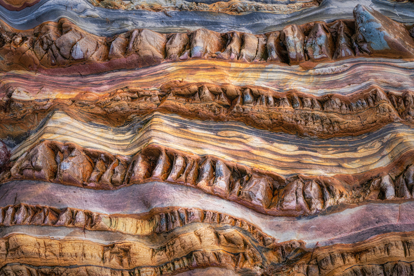 Abstractions in nature fototapet