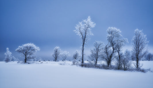 Winterland fototapet