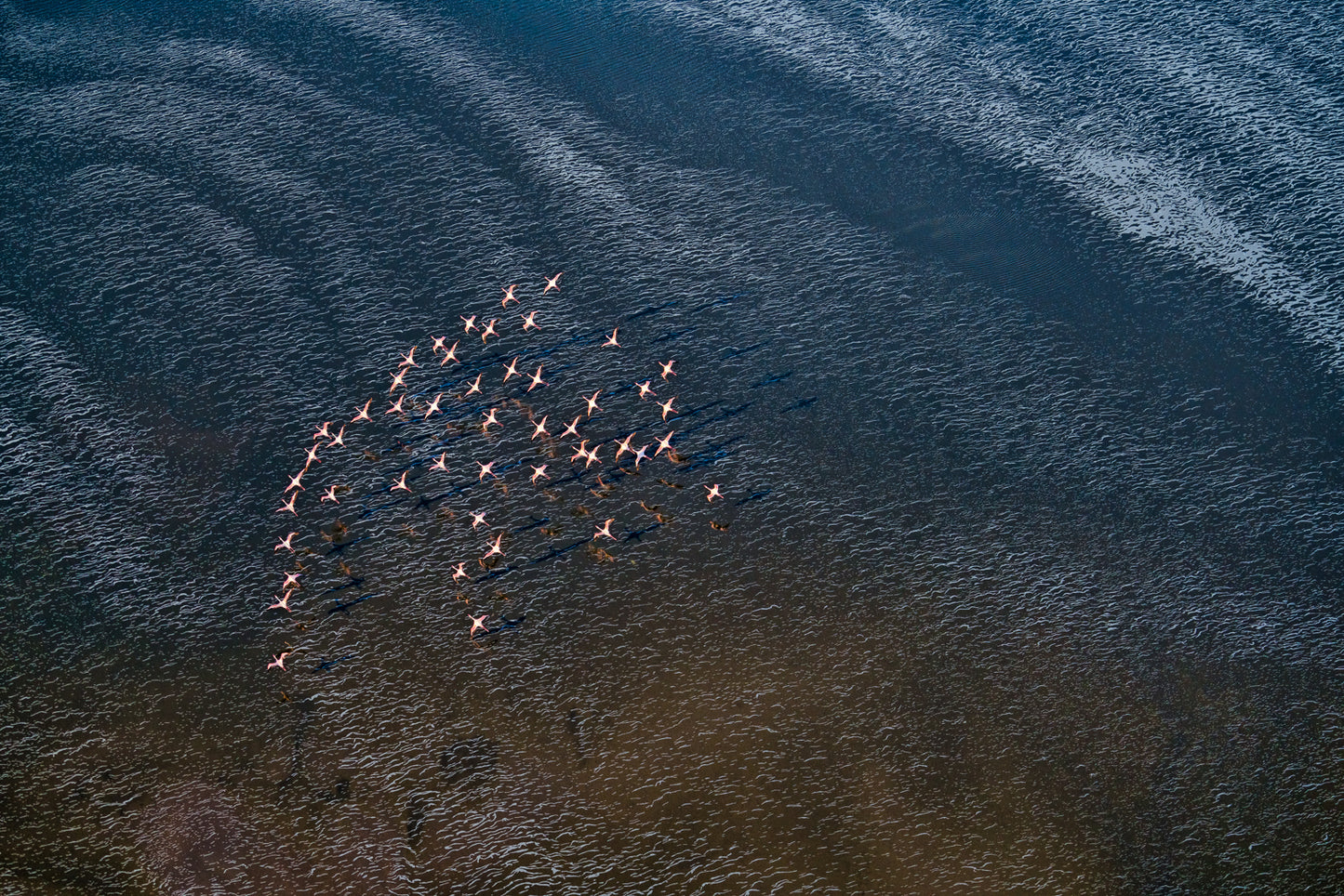 Wave Runner fototapet