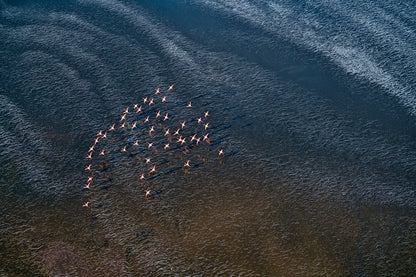 Wave Runner fototapet