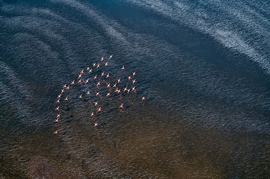 Wave Runner fototapet