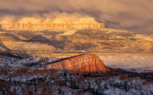 After Snow fototapet