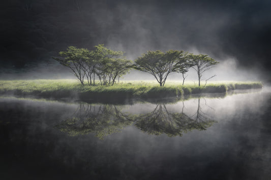 illuminate fototapet