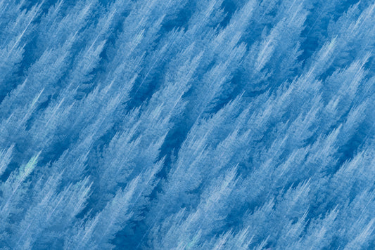 Winter's Color fototapet