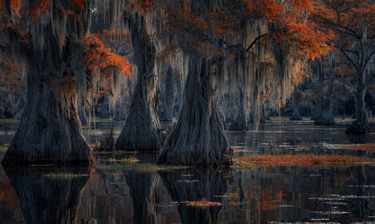 Autumn Impression fototapet