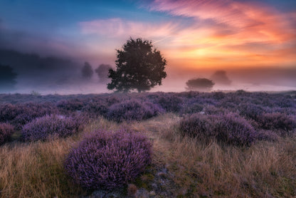 "autumn longing" fototapet