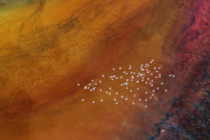 Blood vessels of the lake fototapet