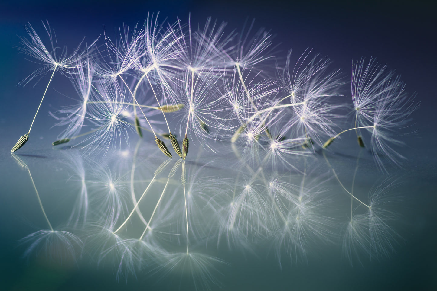 White dancer fototapet