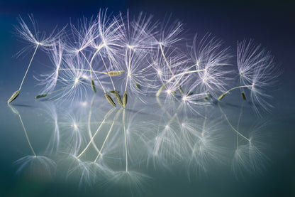 White dancer fototapet