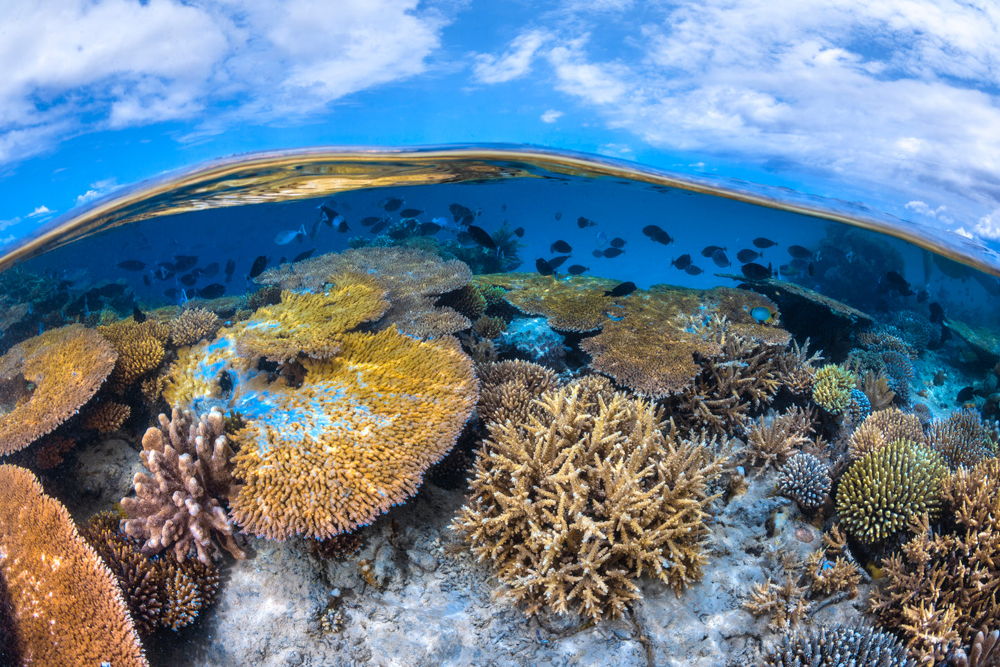 At the edge of the S-shaped pass fototapet