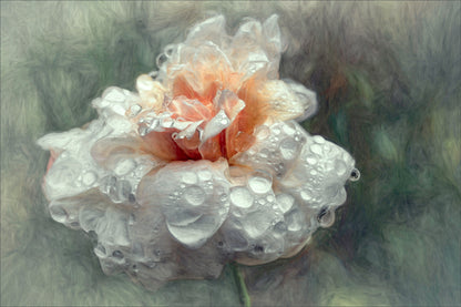 After the shower... fototapet