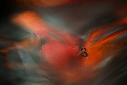 Strange landscape ll fototapet