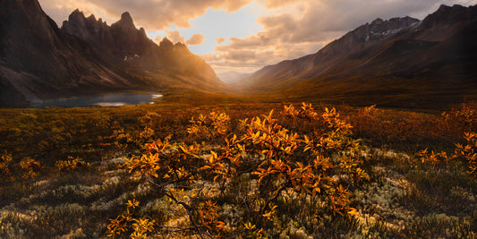 Wild Mountain Sunset fototapet