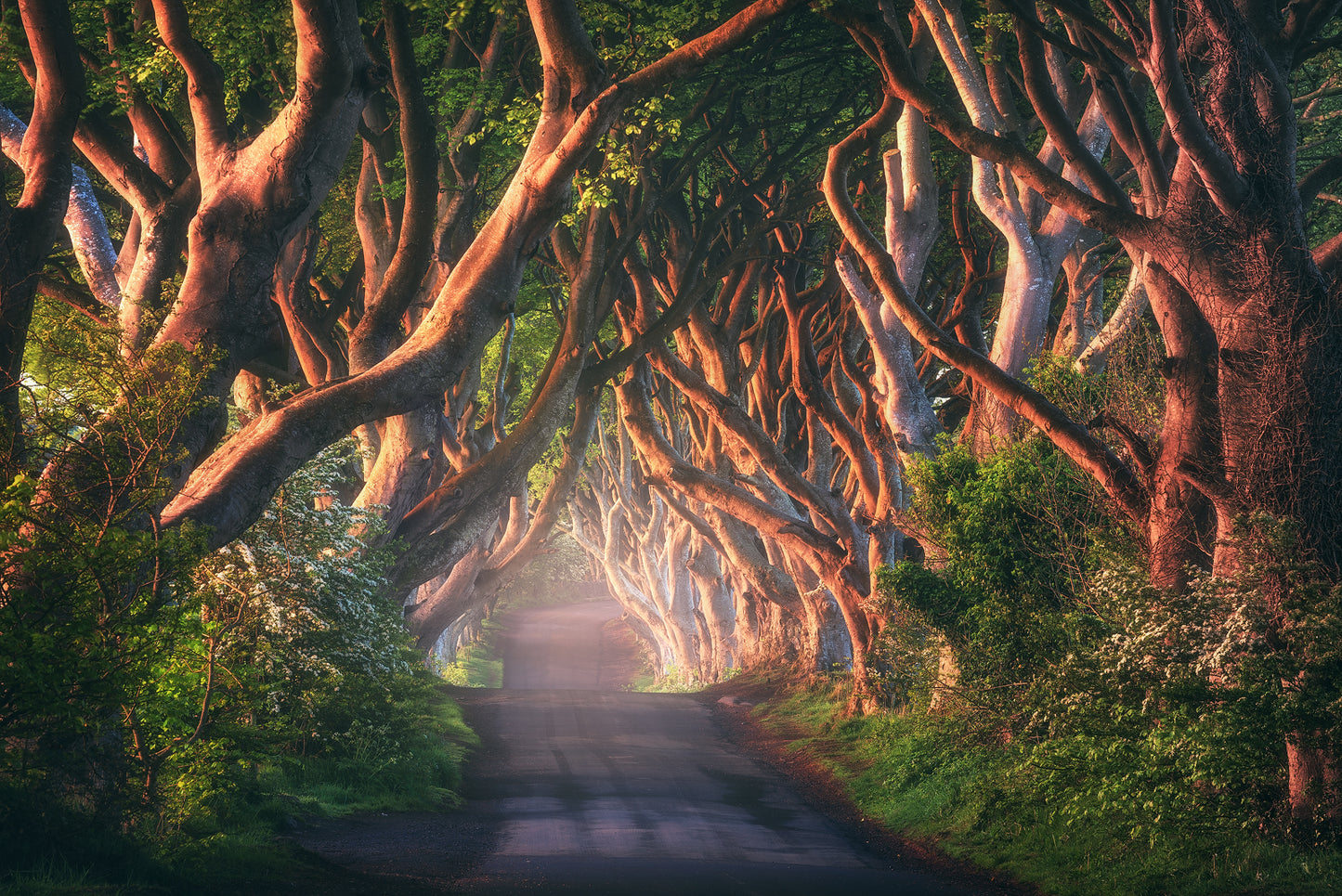 An Irish Fairytale fototapet
