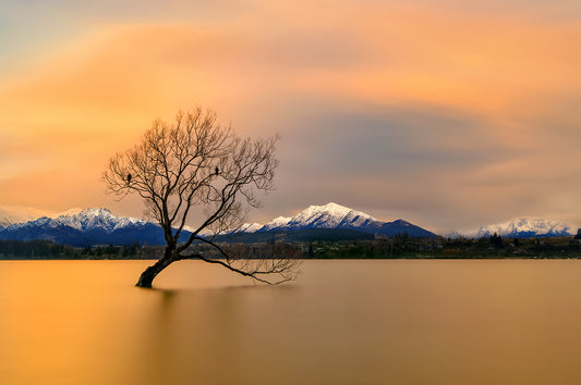 Morning glow of the Lake Wanaka fototapet