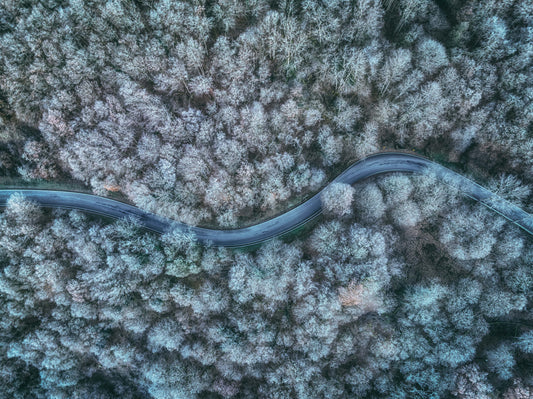 winter road fototapet